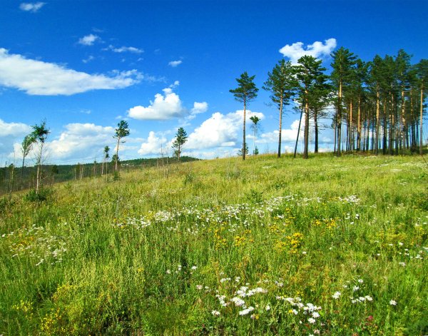 Лето в Забайкалье