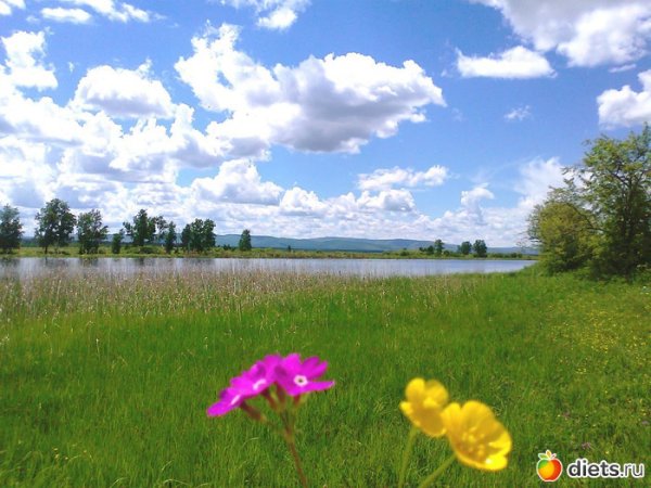 Картинка Забайкаловедение