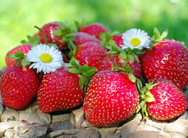 Клубника Делиз