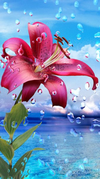 Красивое море