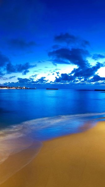 Природа цветы