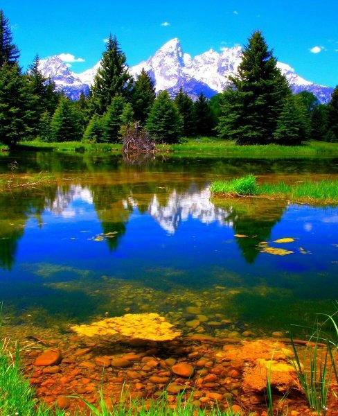 Смартфон Haier Alpha a3 Lite