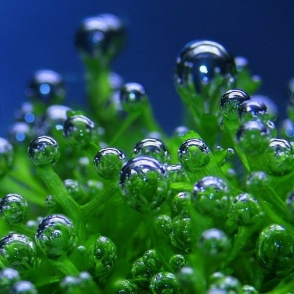 Заставка летняя на планшет