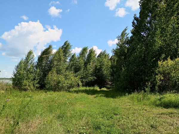 Сельский ландшафт