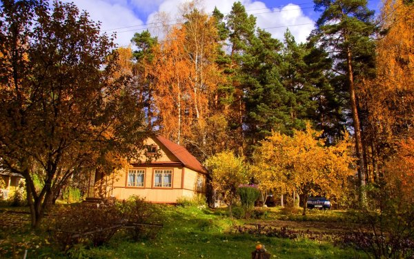 Природа лес река деревенский дом березы