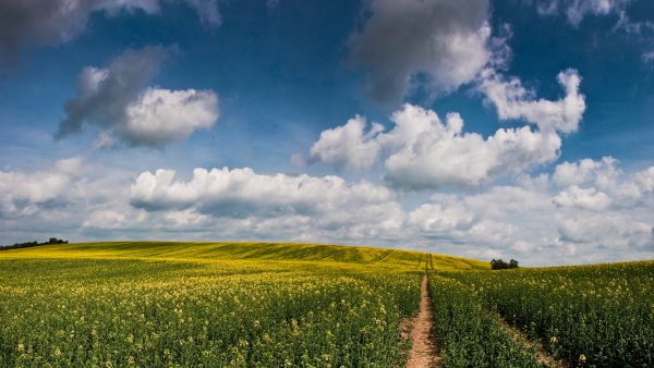 Русская природа