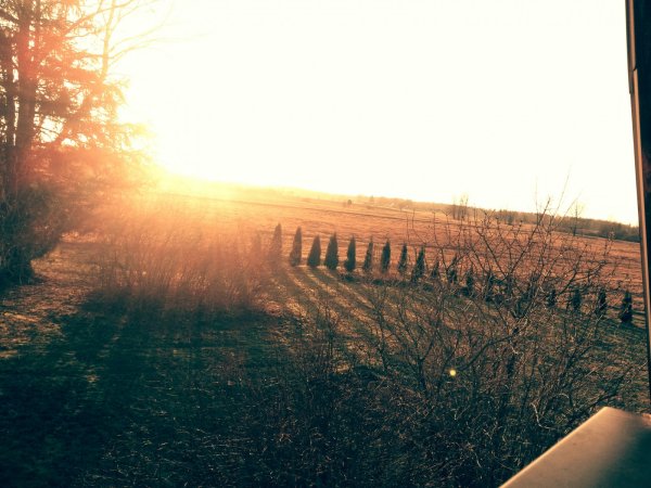 Атмосферные летние обои