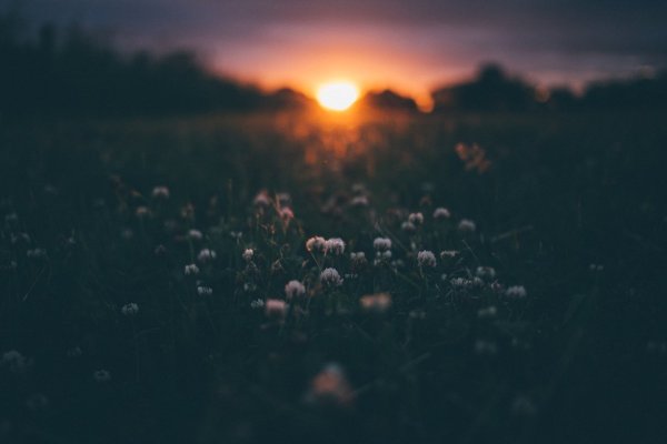 Эстетика природа закат