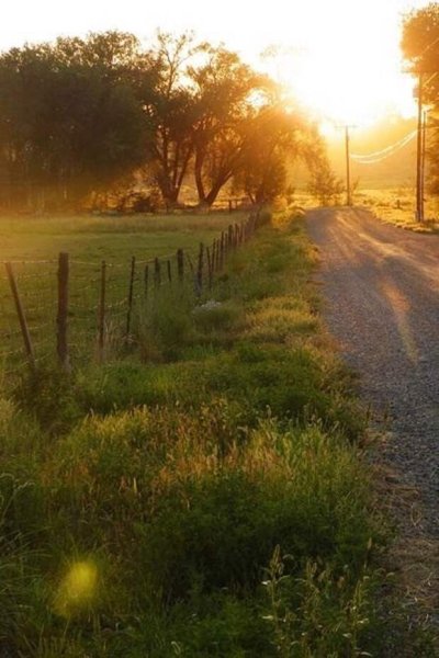 Атмосферное лето