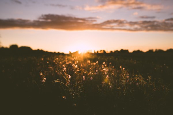 Атмосферное лето