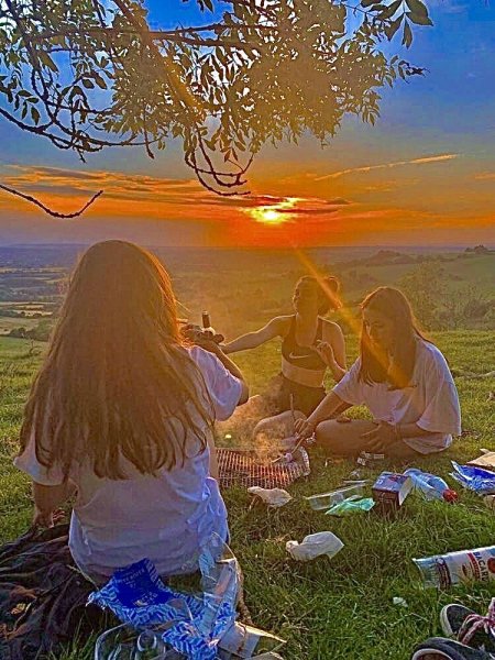 Поле Эстетика