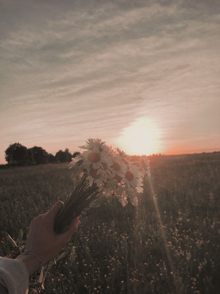 Фотографирую закат