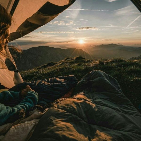 Зелень Эстетика