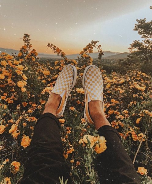 Летняя романтика