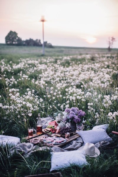 Лето Эстетика