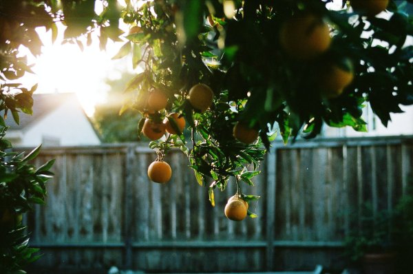 Эстетика лета