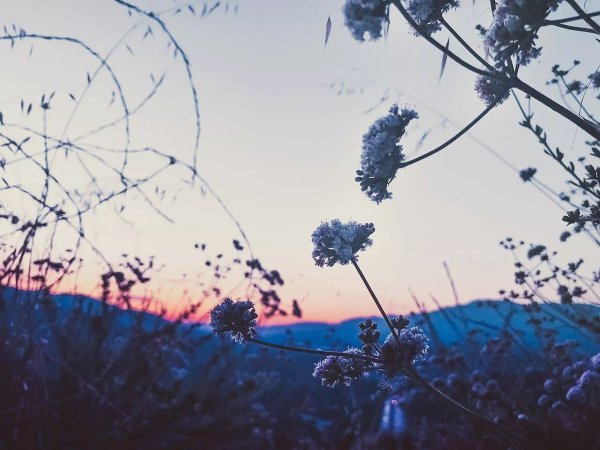 Летняя атмосфера