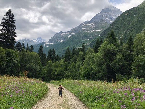 Тебердинский заповедник Домбай Весна