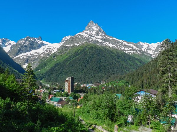 Горные растения Домбая