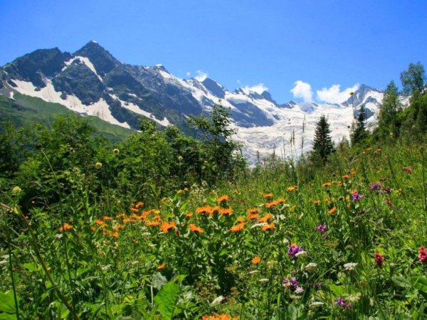 Домбайская Поляна Карачаево-Черкесия