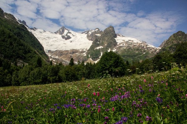 Домбай предгорье