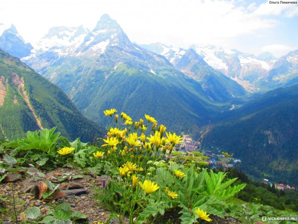 Ущелье Домбай-Ульген