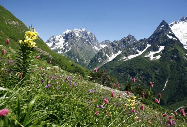 Мусса-Ачитара Домбай