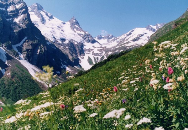 Домбай (Горная территория)