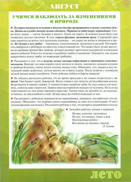 Папка передвижка лето