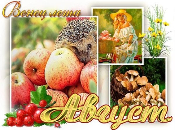 Открытки про август красивые