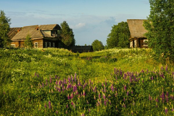 Деревня Мегра Вологодская пейзаж