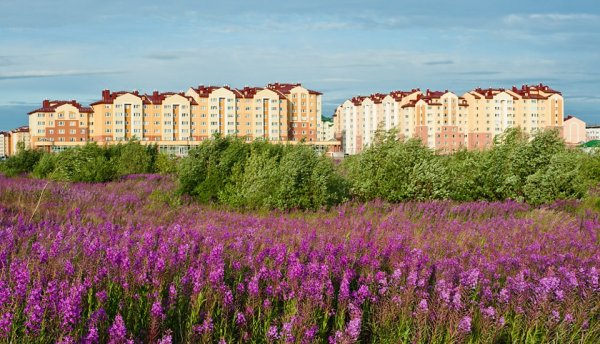 Новый Уренгой лето