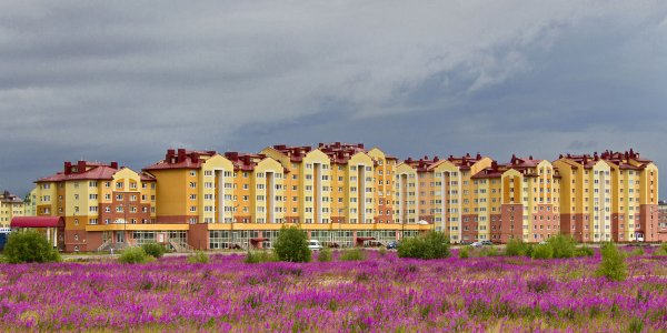 Город новый Уренгой природа