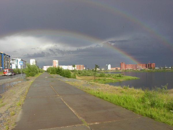 Салехардская тундра