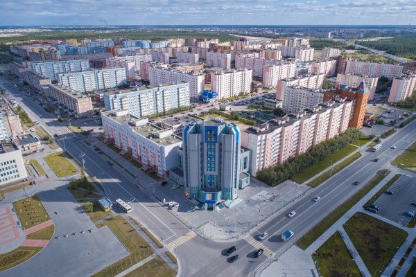 Город новый Уренгой природа