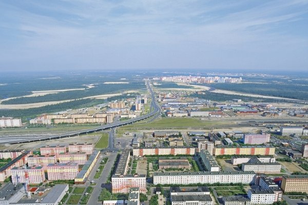 Лето тундра новый Уренгой