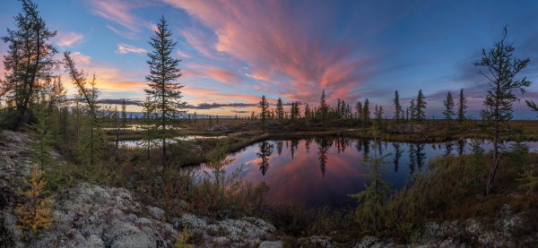 Стелла города новый Уренгой