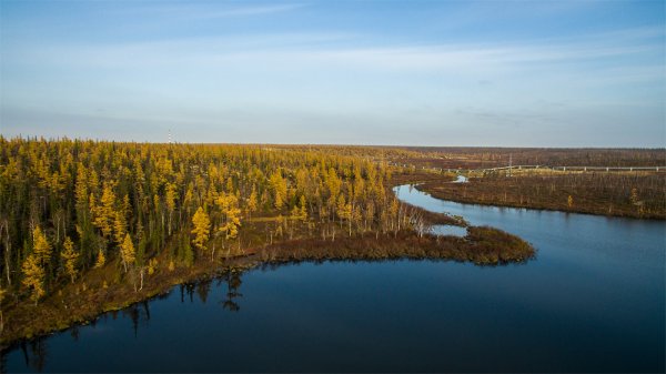 Новый Уренгой озера