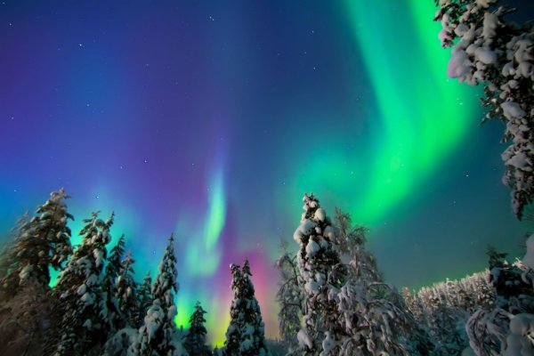 Полярное сияние в тундре