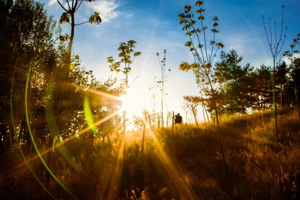Утро солнце