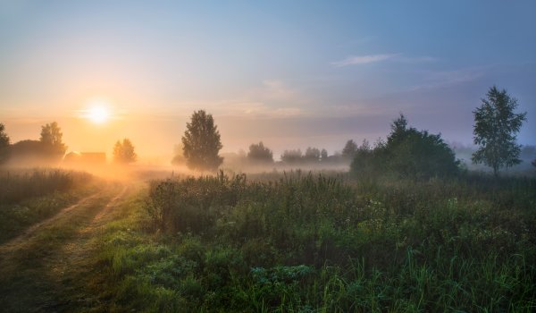 Рассвет летом