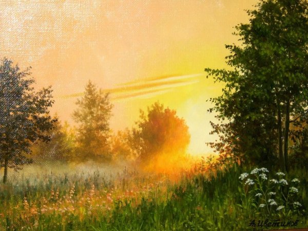 Добрые пожелания с ромашками