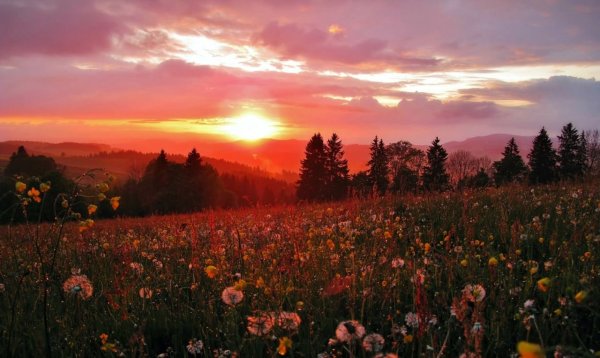 Атмосферные пейзажи