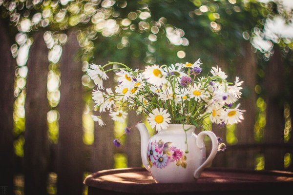 Солнечного дня и отличного настроения