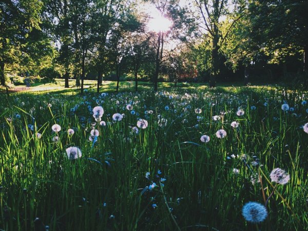 Закат Эстетика