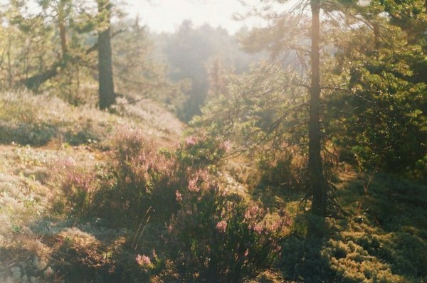 Сохраненки Эстетика