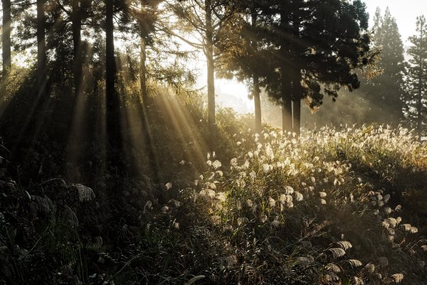 Красивые эстетичные места в природе
