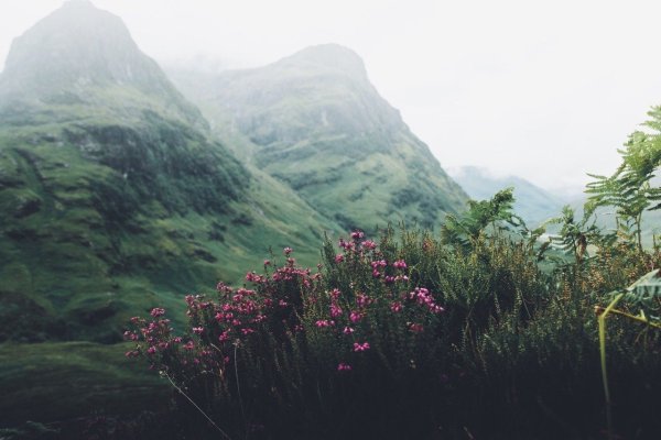 Cottagecore пикник