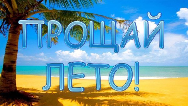 Этим летом я махну на море рукой