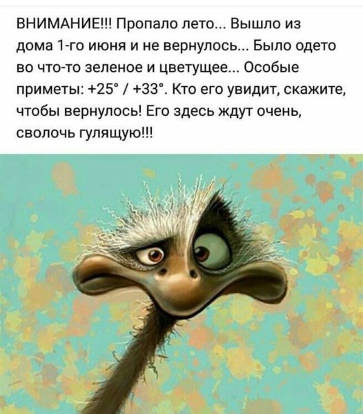 Вот и лету конец